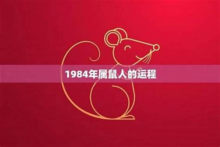 生肖鼠1984年运程如何？
