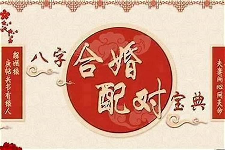 信不信八字不合
