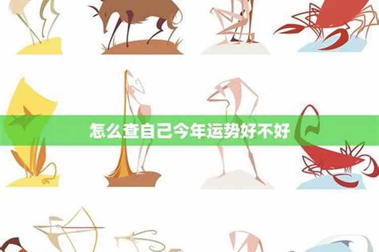 怎么查自己的运势？