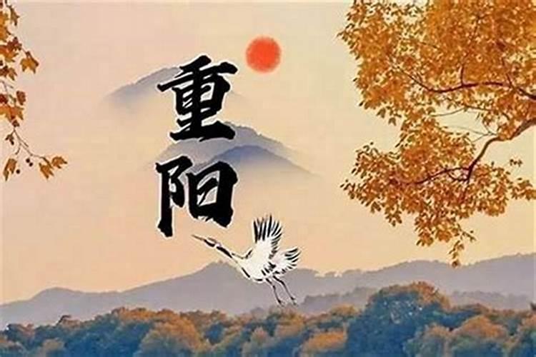 农历九月初九的老鼠好吗？
