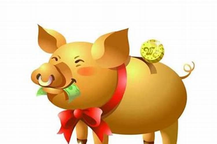 属猪的今年下半年运势