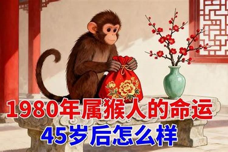 1980年的属猴运程怎么样？