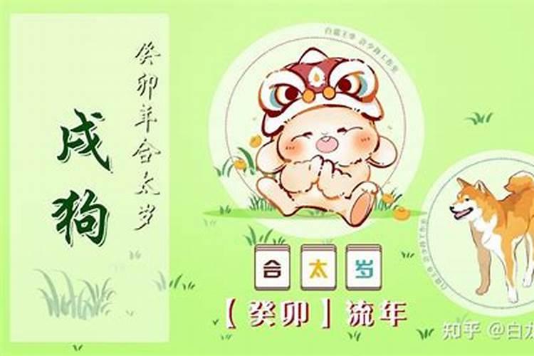 癸亥己未戊戌今年运势