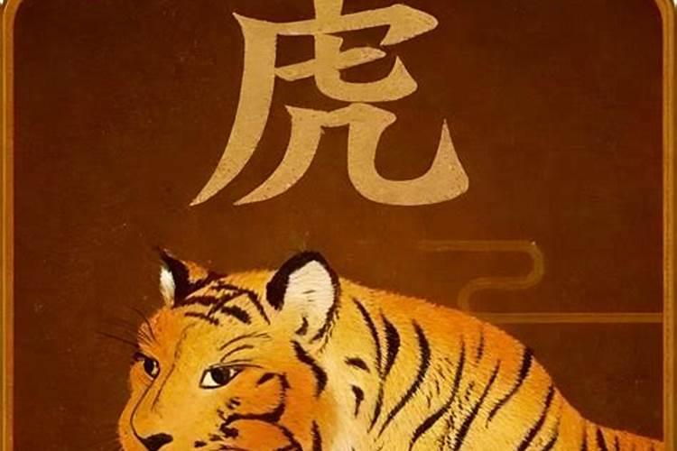 1972年属虎2026年运势