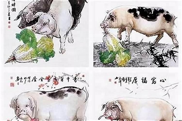 牛和猪生肖合婚吗？