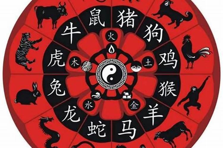 什么生肖配对最好？