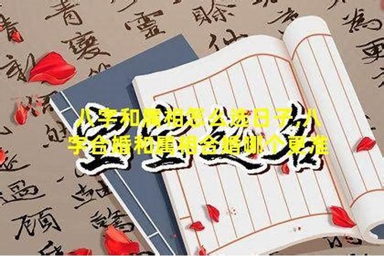 合八字和属相哪个更重要？