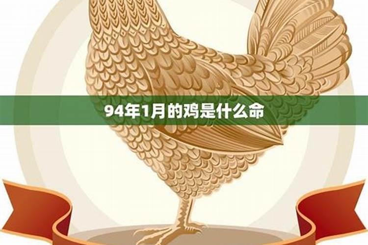 2026是什么命的鸡？