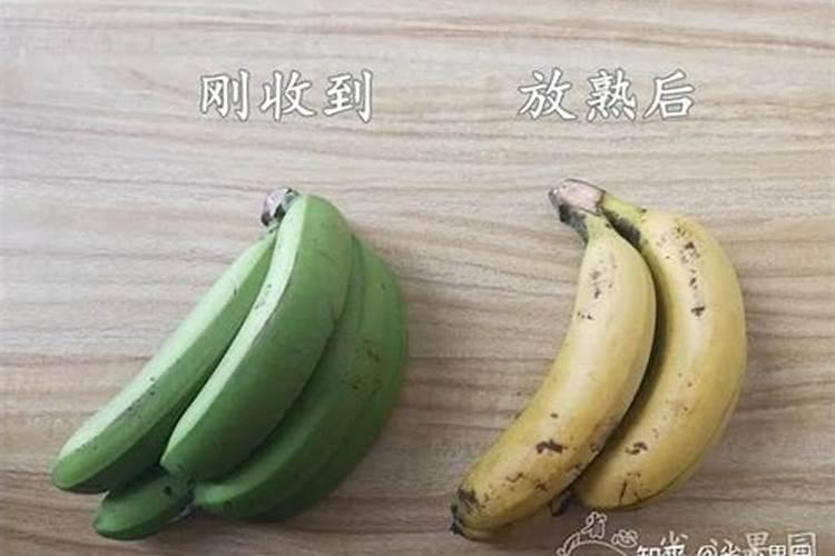 梦见树上的香蕉熟了摘来吃