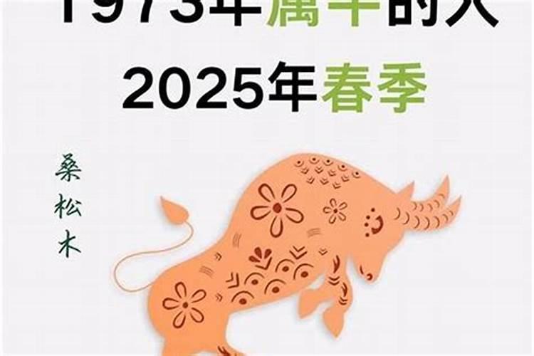 癸丑1973年2026年运势