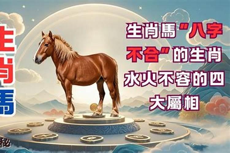 马和马八字不合
