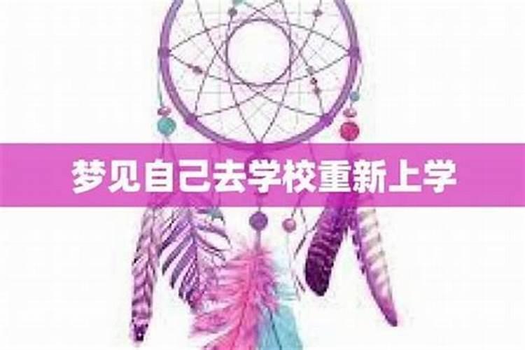 梦到好多同学又回到学校上学？