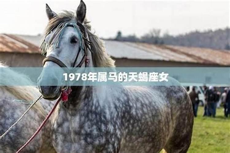 1978年6月初6寅的出生女的运程