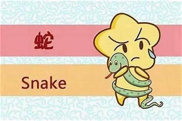 属相蛇和蛇婚配可以吗？