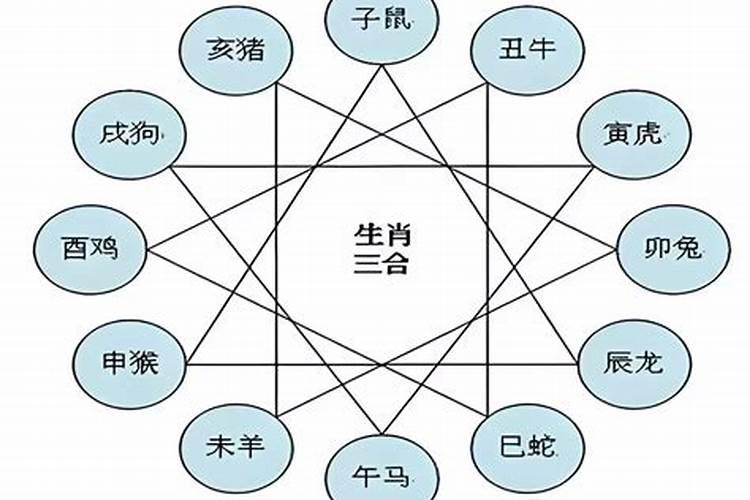 属牛跟什么属相八字合？