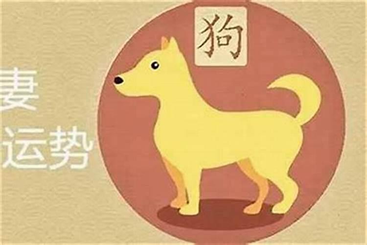 说狗和属鸡的合婚吗？