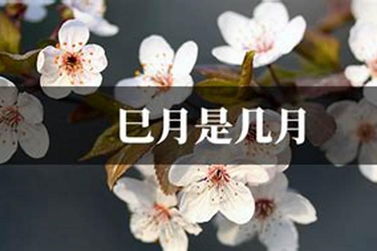 立夏当天出生是辰月还是巳月？