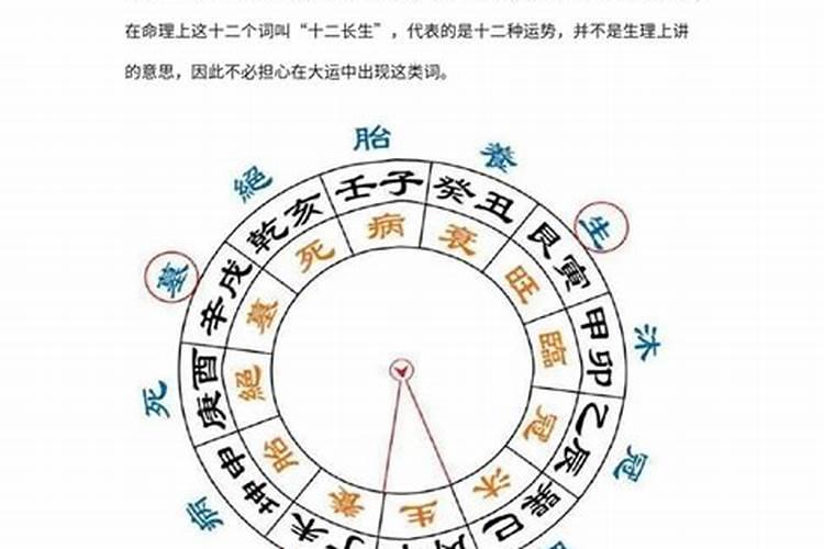 八字大运的详细解析