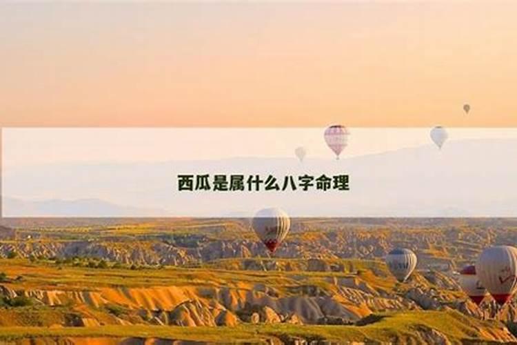 西瓜是属什么八字命理？
