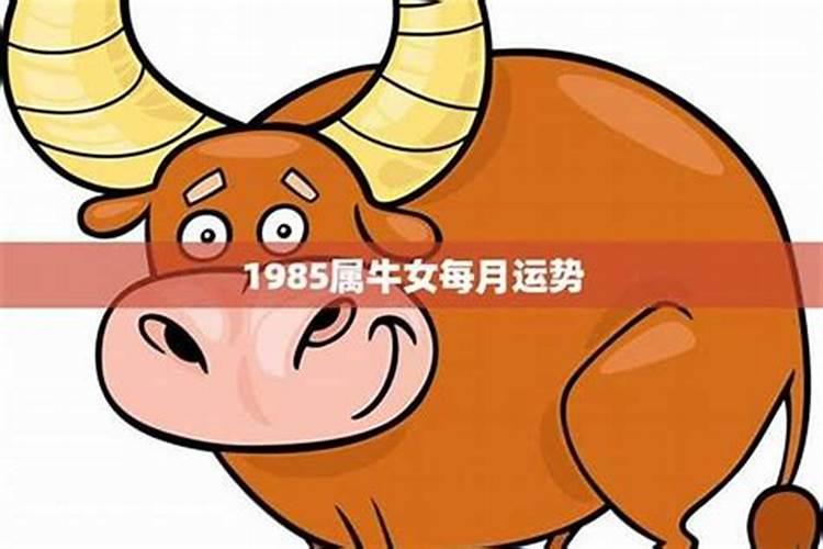 1981年出生女2026年运势如何？