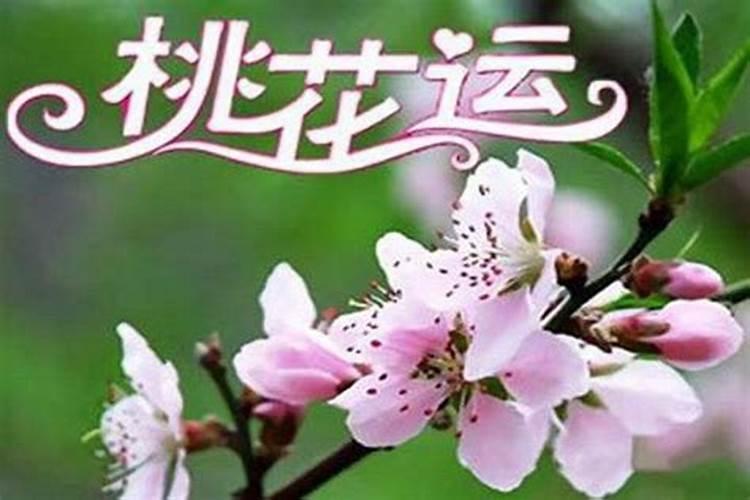 算命婚姻怎样旺桃花？