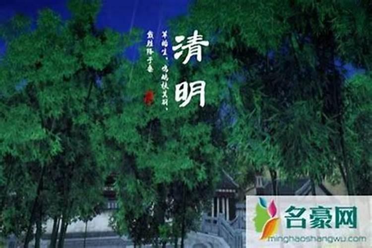 清明节三薪是哪一天？