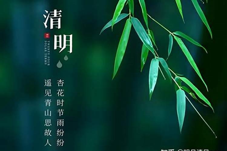清明节在哪说？