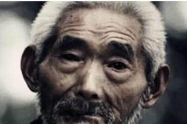 欲钱八字不合孤苦无依的动物