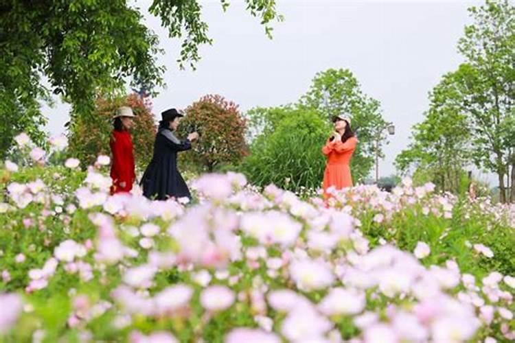 温州立夏风俗