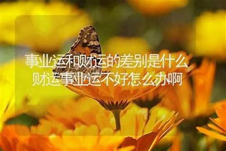 事业不顺利的时候风水上怎么办？