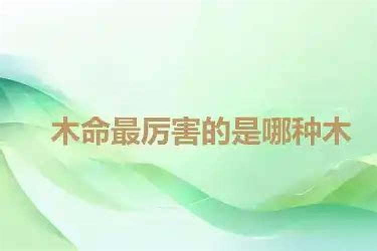 木命最厉害的是哪种木？