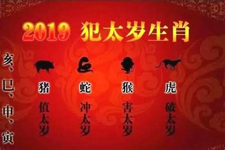 2026属蛇冲太岁是什么意思？