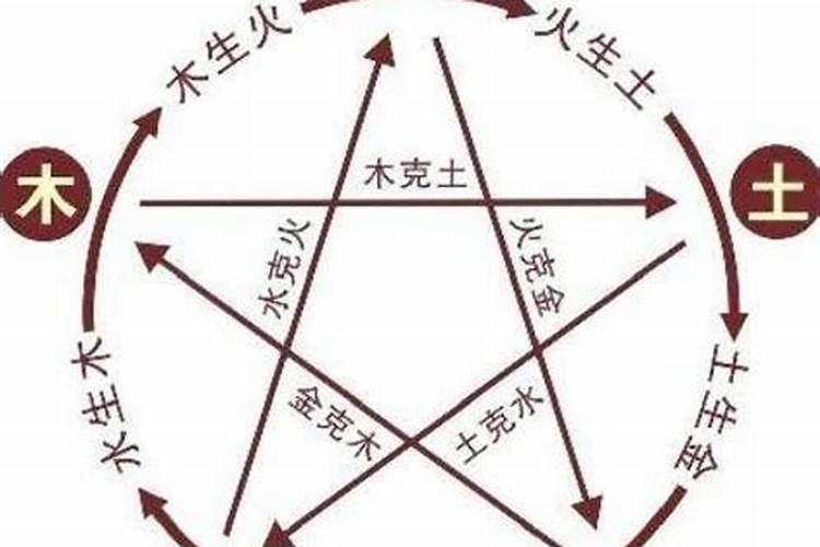 什么属相在一起合婚？