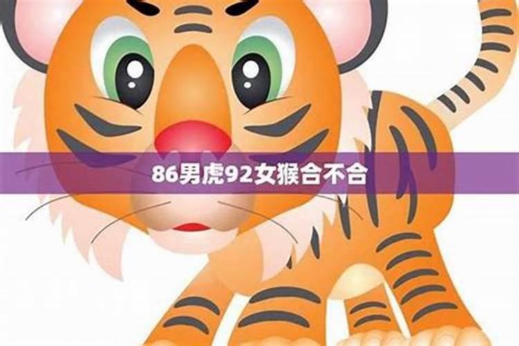 猴虎八字合不合