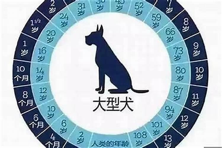 属狗哪月出生九月初九？