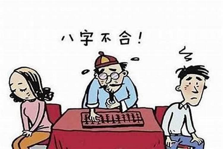 属狗与属兔八字合不合