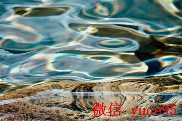 算命不求人称骨重女命