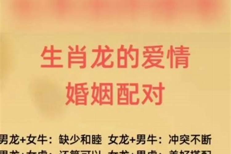 属牛的与属龙的八字合财吗？