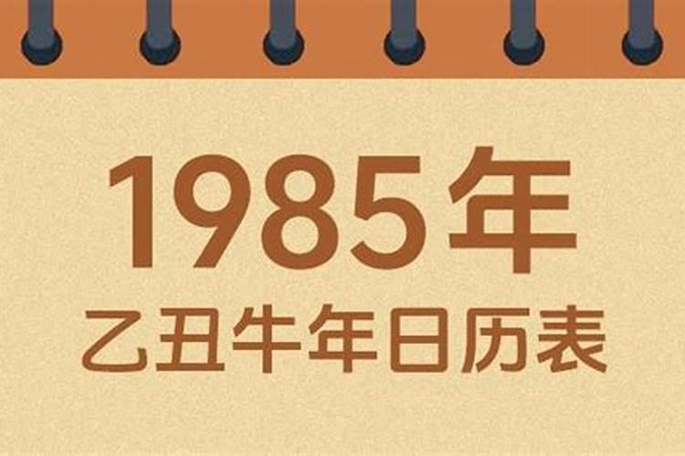 农历1985年生2026年运程怎样？