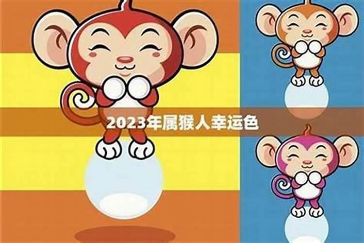 犯太岁的猴幸运色