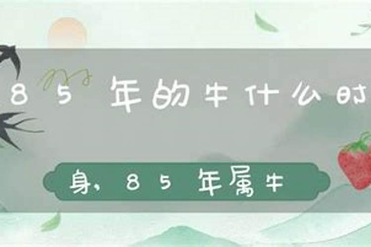 85年属牛人最穷不过36岁