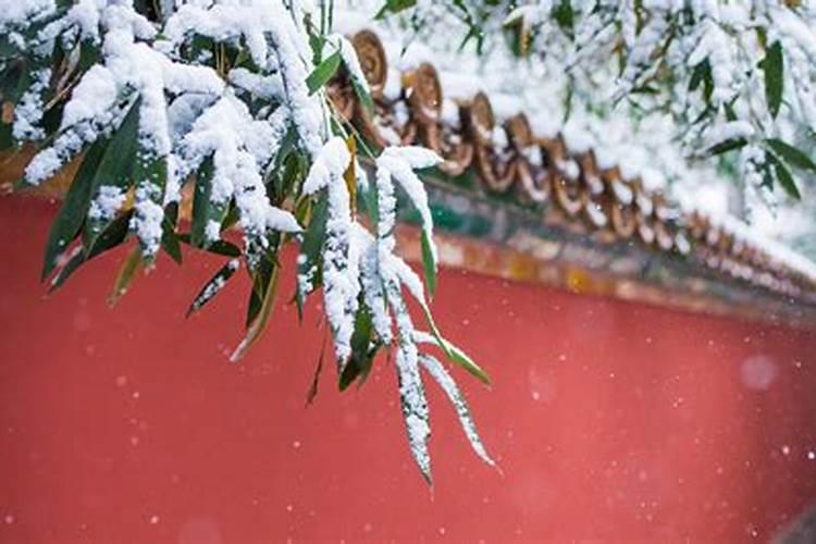 冬至大雪的习俗