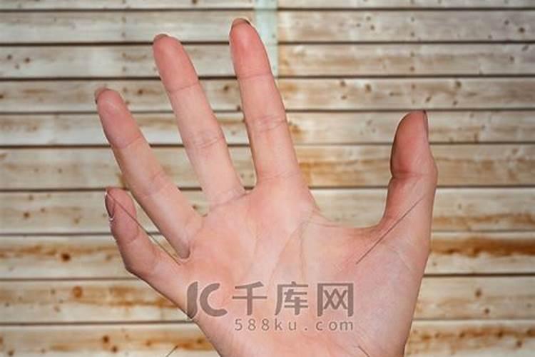 梦到一只手抓自己手