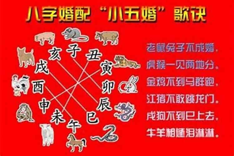 什么属相婚配合适？