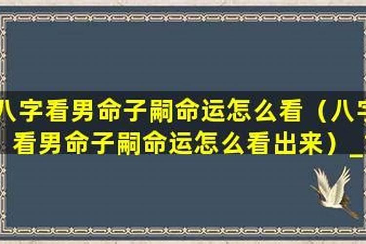 八字中男命看子女