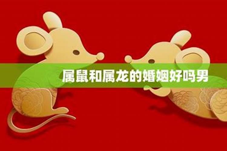 属鼠和属龙的合婚吗？