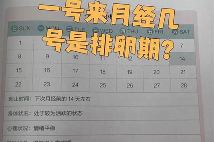 十月初一月经来排卵是几号？