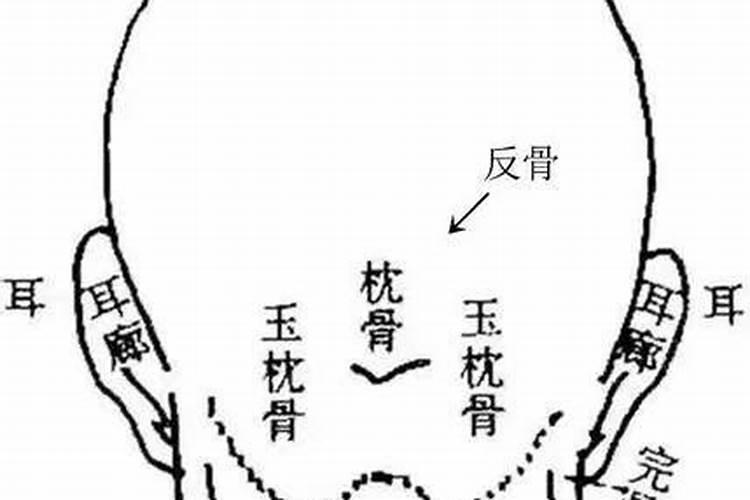 侧脑骨凸出有什么运势？
