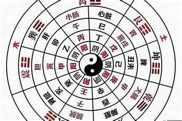 八字算命未来能准吗？