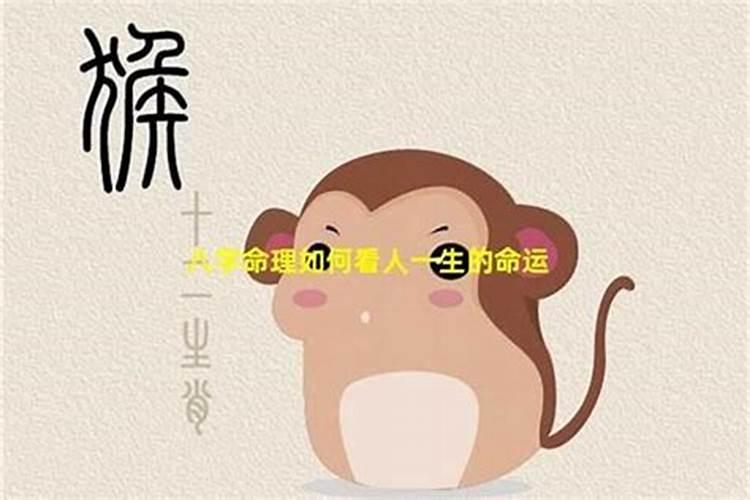 八字如何看一个人一生的运势？